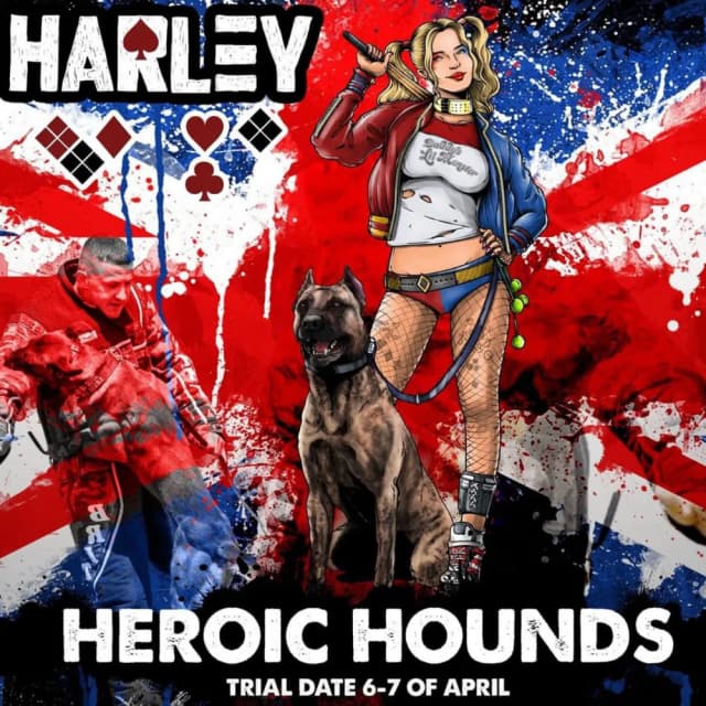 heroic-hounds